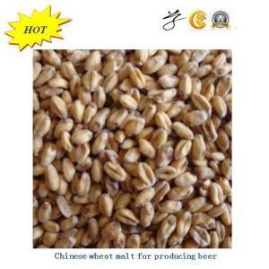 Chinese Wheat Malt for Producing Beer